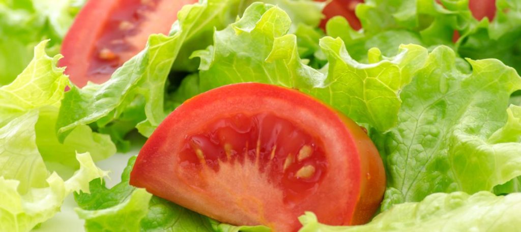 Salada de Alface com Tomate