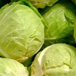 Conheça os Benefícios do Repolho Um Superalimento Acessível e Versátil