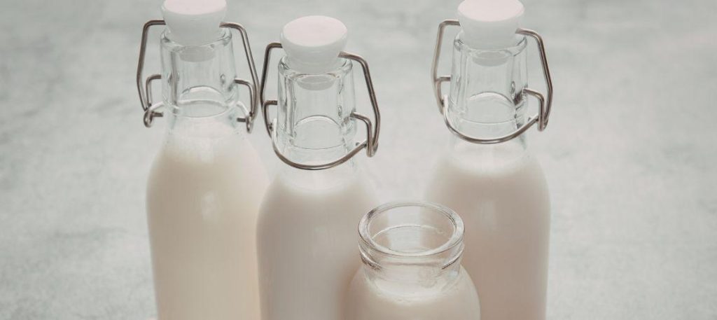 Leite vegetal caseiro (aveia ou amêndoas)